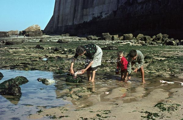 1963. Portugal.
1963. Portugal. Strand. Meer. Frau mit Kindern beim Ausnehmen von Fischen
Schlüsselwörter: 1963;Atlantik;Fische;Meer;Portugal