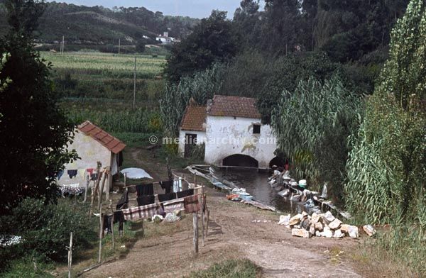 1963. Portugal.
1963. Portugal.
Schlüsselwörter: 1963;Portugal