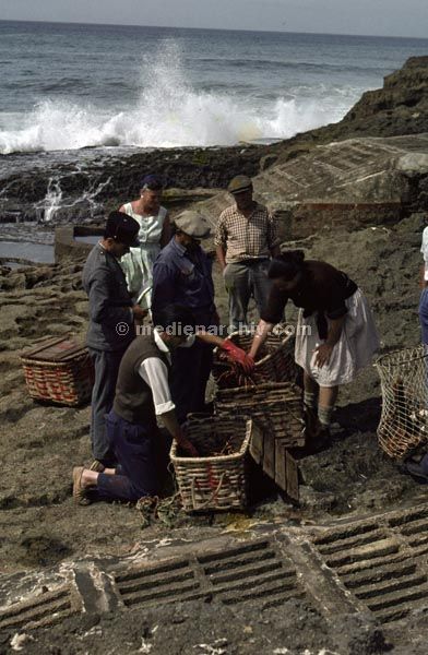 1963. Portugal.
1963. Portugal.
Schlüsselwörter: 1963;Portugal
