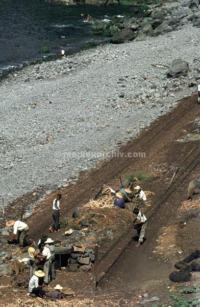 1968. Portugal. Insel Madeira.
1968. Portugal. Insel Madeira. Meer. Strand. Fischer mit Netz
Schlüsselwörter: 1963;Fischer;Insel Madeira;Meer;Netze;Portugal;Strand