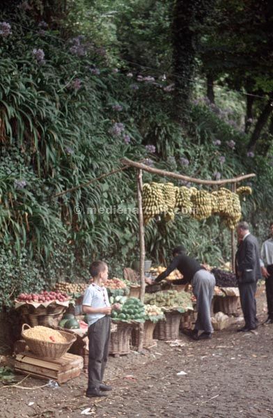 1968. Portugal. Insel Madeira.
1968. Portugal. Insel Madeira. Monte. Obststand.
Schlüsselwörter: 1963;Insel Madeira;Portugal