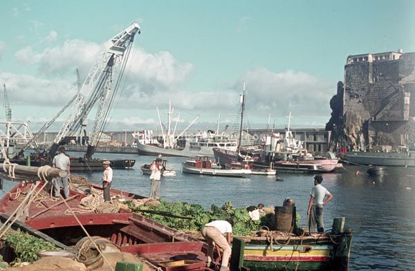 1968. Portugal. Insel Madeira.  Fischerdorf Câmara de Lobos
1968. Portugal. Insel Madeira. Fischerdorf Câmara de Lobos. Schiffe in einem Hafen
Schlüsselwörter: 1963;Atlantik;Camara de Lobos;Câmara de Lobos;Fischer;Hafen;Madeira;Meer;Portugal;Schiffe