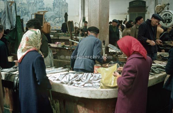 1969. Portugal. Setübal.
1969. Portugal. Setübal. Fischmarkt. Verkäuferinnen
Schlüsselwörter: 1963;Fische;Markt;Portugal;Setübal;Verkäuferinnen