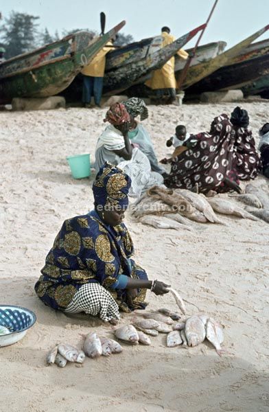 1969. Afrika. Senegal. Kayar.
1969. Afrika. Senegal. Kayar. Fisch-Verkauf.
Schlüsselwörter: Afrika;Kayar;Senegal