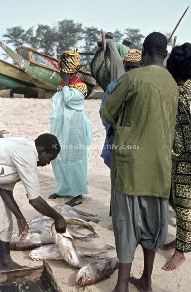 1969. Afrika. Senegal. Kayar.
1969. Afrika. Senegal. Kayar. die Beute.
Schlüsselwörter: Afrika;Kayar;Senegal