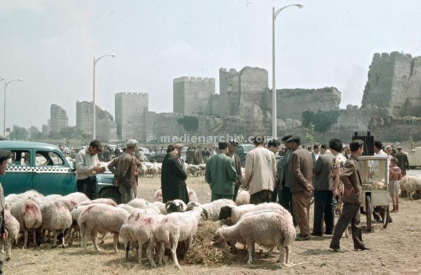 1961.  Türkei.
1961. Türkei.  (Hase: Schwarzes Meer)
Schlüsselwörter: Türkei