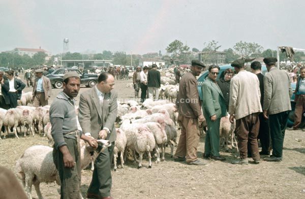 1961.  Türkei.
1961. Türkei.  (Hase: Schwarzes Meer)
Schlüsselwörter: Türkei