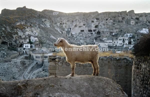 1969. Türkei. Anatolien. Kappadokien. Felsen. Berge
1969. Türkei. Anatolien. Kappadokien. Felsen. Berge. Ziege. in Stein gehauenes Dorf
Schlüsselwörter: 1969;Anatolien;Berge;Dorf;Felsen;Kappadokien;Türkei;Ziege
