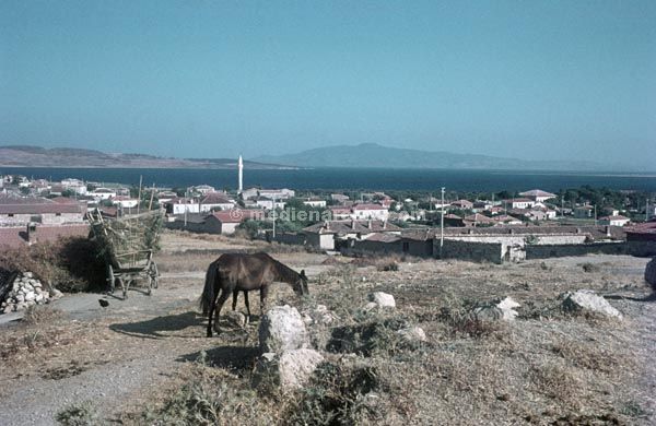 1967. Türkei Turkey. Izmir
  
Schlüsselwörter: 1967;Izmir