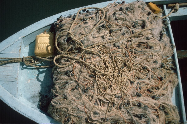 1989. Türkei. Reise auf einem Segelboot. Mittelmeer. Netze auf einem Fischerboot.
1989. Türkei. Reise auf einem Segelboot. Mittelmeer. Netze auf einem Fischerboot.
Schlüsselwörter: 1989;Türkei;Mittelmeer;Netze;Fischerboot