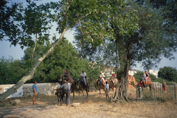 1989. Türkei. Touristen auf Kamelen
1989. Türkei. Touristen auf Kamelen
Schlüsselwörter: 1989;Türkei;Kamele