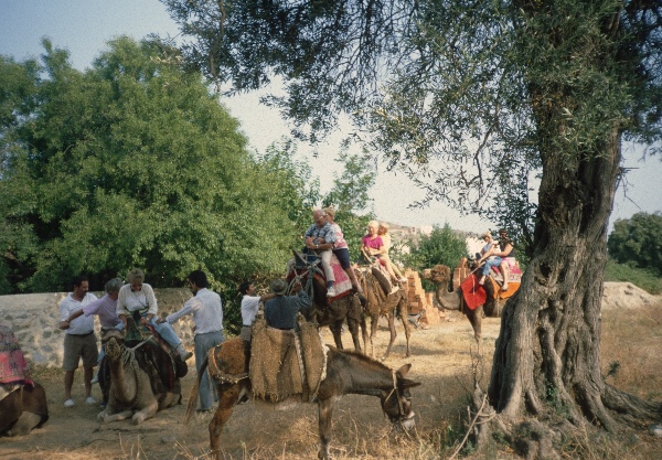 1989. Türkei. Touristen auf Kamelen
1989. Türkei. Touristen auf Kamelen
Schlüsselwörter: 1989;Türkei;Kamele