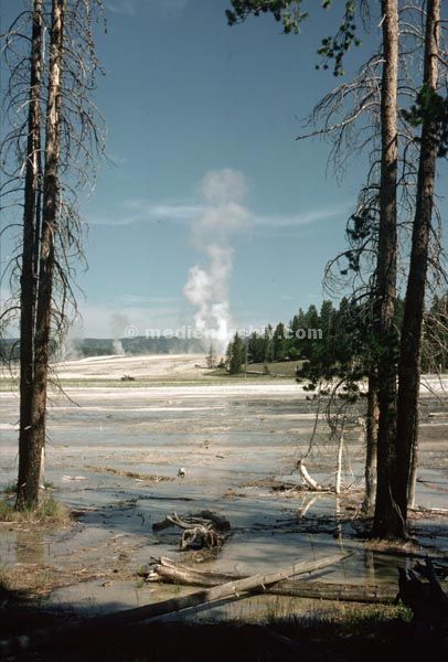 1978. USA. Geysir. Yellowstone
1978. USA. Geysir. Yellowstone
Schlüsselwörter: 1978;Geyser;Geysir;USA;Wasserdampf;Yellowstone