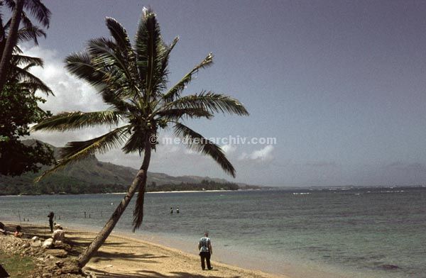 1966. USA. Hawaii.
1966. USA. Hawaii. Palmen. Meer. Strand
Schlüsselwörter: Hawaii;Hawaii.;Meer;Palmen;Strand;USA