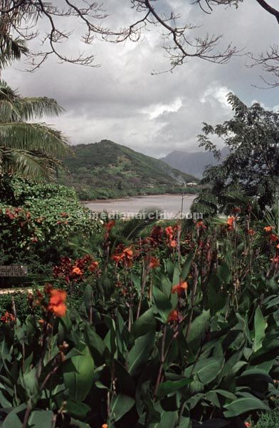 1966. USA. Hawaii.
1966. USA. Hawaii. Ourohblick.
Schlüsselwörter: Hawaii.;USA
