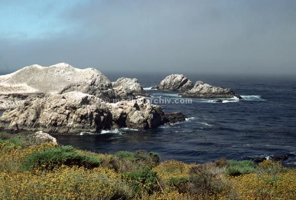 1978. USA. Monterey.
1978. USA. Monterey. Point Lobos. Meer. Küste
Schlüsselwörter: Küste;Meer;Monterey;USA