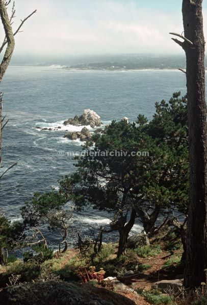 1978. USA. Monterey.
1978. USA. Monterey. Point Lobos.
Schlüsselwörter: Monterey;USA