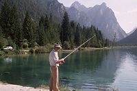 Aut-1987-24.jpg