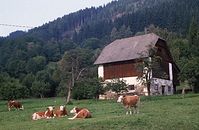 AutKa---1987-10.jpg