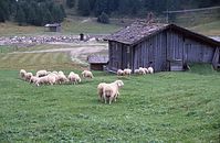 AutKa---1987-16.jpg