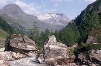 AutKa---1987-18.jpg