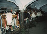 Dateiname=AutSL---1981-35.jpg
Dateigröße=136KB
Abmessungen: 600x431
hinzugefügt am: 27. Januar 2011 AutSL---1981-35.jpg