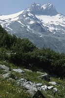 AutTrSch1986-049.jpg