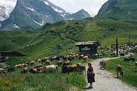 Dateiname=AutTrSch1986-083.jpg
Dateigröße=179KB
Abmessungen: 600x397
hinzugefügt am: 27. Januar 2011 AutTrSch1986-083.jpg