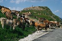 Dateiname=AutTrSch1986-084.jpg
Dateigröße=172KB
Abmessungen: 600x396
hinzugefügt am: 27. Januar 2011 AutTrSch1986-084.jpg