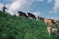 Dateiname=AutTrSch1986-085.jpg
Dateigröße=153KB
Abmessungen: 600x397
hinzugefügt am: 27. Januar 2011 AutTrSch1986-085.jpg