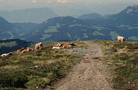 Dateiname=AutTrSoe1979-04.jpg
Dateigröße=148KB
Abmessungen: 600x391
hinzugefügt am: 27. Januar 2011 AutTrSoe1979-04.jpg