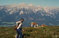 Dateiname=AutTrSoe1979-05.jpg
Dateigröße=151KB
Abmessungen: 600x393
hinzugefügt am: 27. Januar 2011 AutTrSoe1979-05.jpg