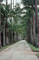 BRA-Rio-1969-Ha-06.jpg