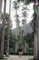 BRA-Rio-1969-Ha-07.jpg