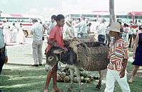 BRA-Salvador-1969-Ha-30.jpg