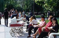 Bgr-198106-127.jpg