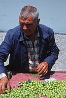 Bgr-198106-163.jpg