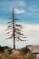 DeuBy---1981-044.jpg