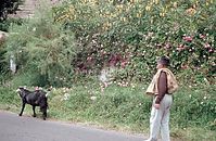ESP-Teneriffa-1969-Ha-05.jpg