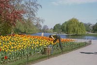 GbrLon198104-39.jpg