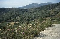 Grc---199106-06.jpg