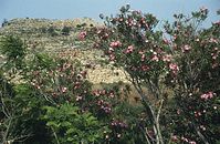 Grc---199106-07.jpg