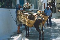 Grc---199106-71.jpg