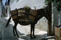Grc---199106-72.jpg