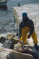 Grc---199106-76.jpg