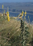 Grc---199106-97.jpg