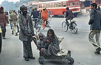 IND-197x-768.jpg