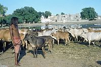 Dateiname=IND-Amritsar-1974-108.jpg
Dateigröße=159KB
Abmessungen: 600x398
hinzugefügt am: 30. Januar 2011 IND-Amritsar-1974-108.jpg