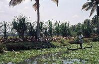 IND-Backwaters-197x-052.jpg