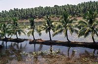 IND-Backwaters-197x-054.jpg